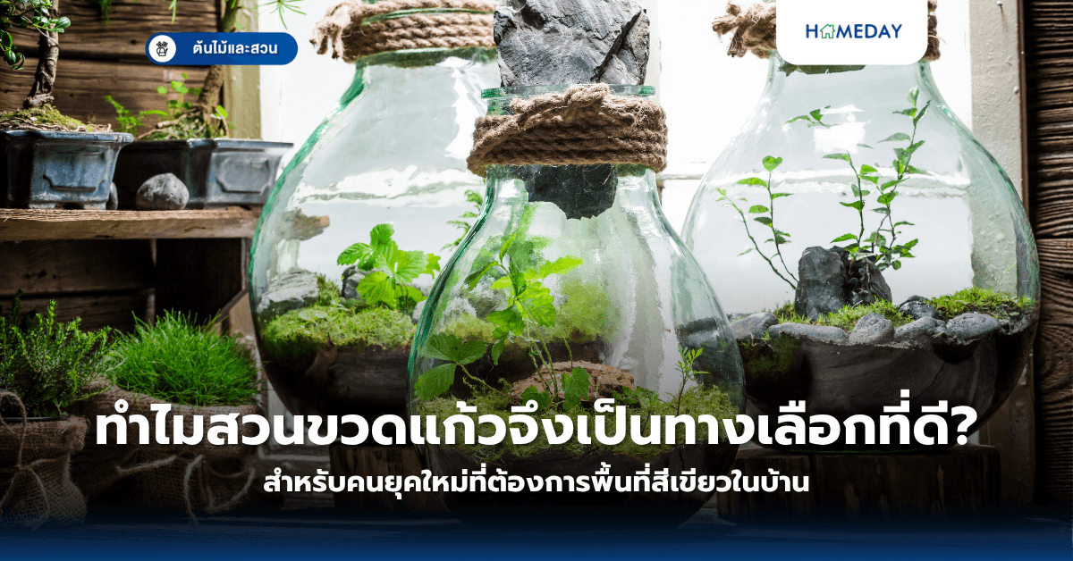 ทำไมสวนขวดแก้วจึงเป็นทางเลือกที่ดีสำหรับคนยุคใหม่ที่ต้องการพื้นที่สีเขียวในบ้าน?