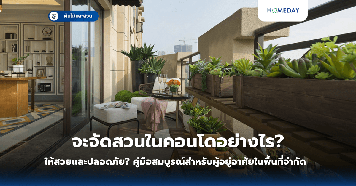 จะจัดสวนในคอนโดอย่างไรให้สวยและปลอดภัย? คู่มือสมบูรณ์สำหรับผู้อยู่อาศัยในพื้นที่จำกัด