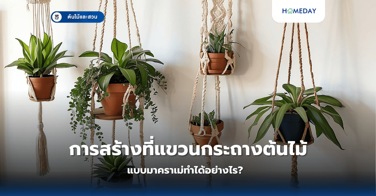 การสร้างที่แขวนกระถางต้นไม้แบบมาคราเม่ทำได้อย่างไร?