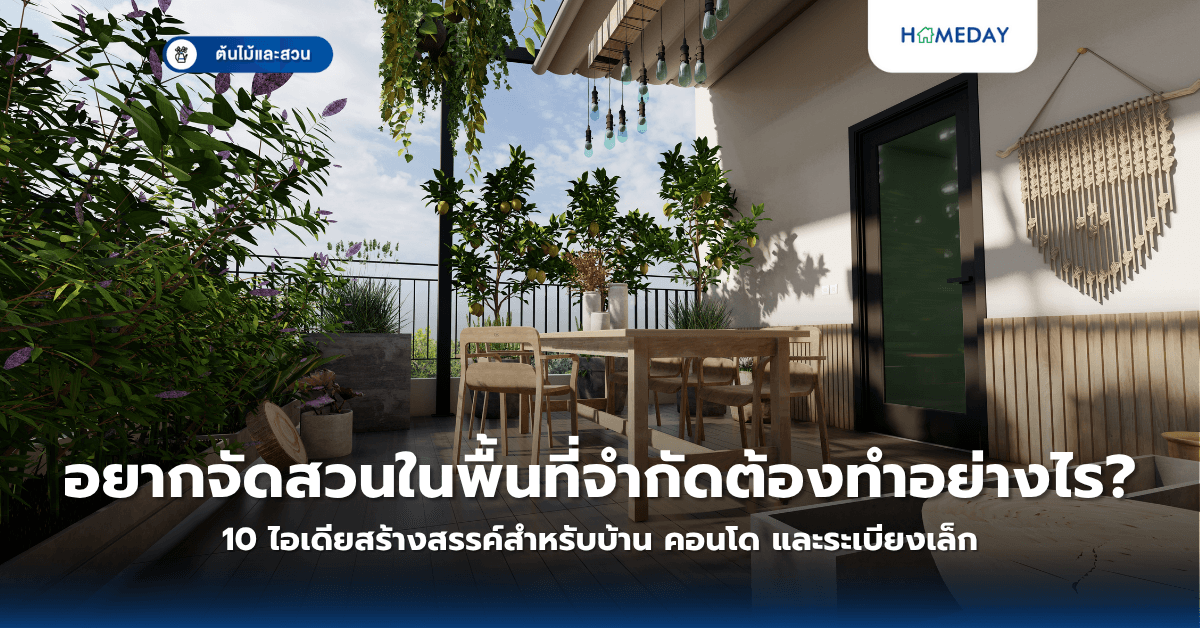 อยากจัดสวนในพื้นที่จำกัดต้องทำอย่างไร? 10 ไอเดียสร้างสรรค์สำหรับบ้าน คอนโด และระเบียงเล็ก