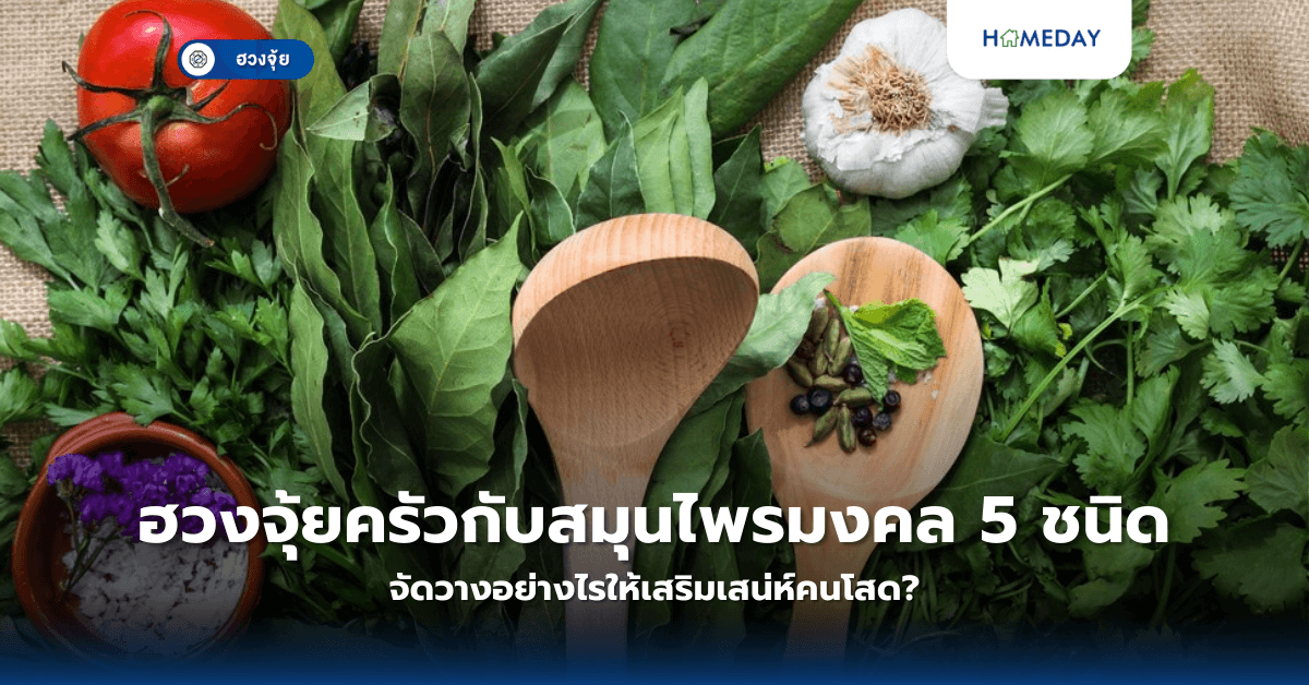 ฮวงจุ้ยครัวกับสมุนไพรมงคล 5 ชนิด จัดวางอย่างไรให้เสริมเสน่ห์คนโสด?