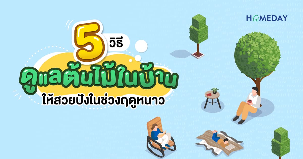 5 วิธีดูแลต้นไม้ในบ้าน ให้สวยปังในช่วงฤดูหนาว