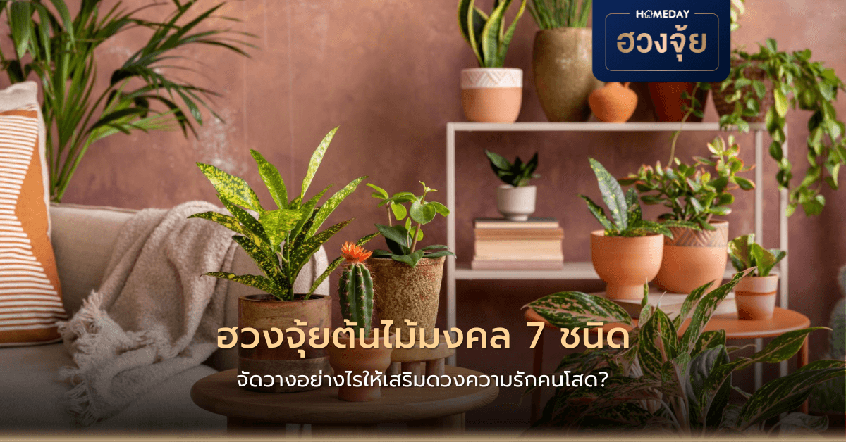 ฮวงจุ้ยต้นไม้มงคล 7 ชนิด จัดวางอย่างไรให้เสริมดวงความรักคนโสด?
