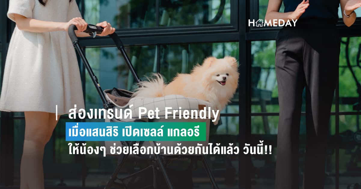 ส่องเทรนด์ Pet Friendly เมื่อแสนสิริ เปิดเซลล์ แกลอรี ให้น้องๆ ช่วยเลือกบ้านด้วยกันได้แล้ว วันนี้!!