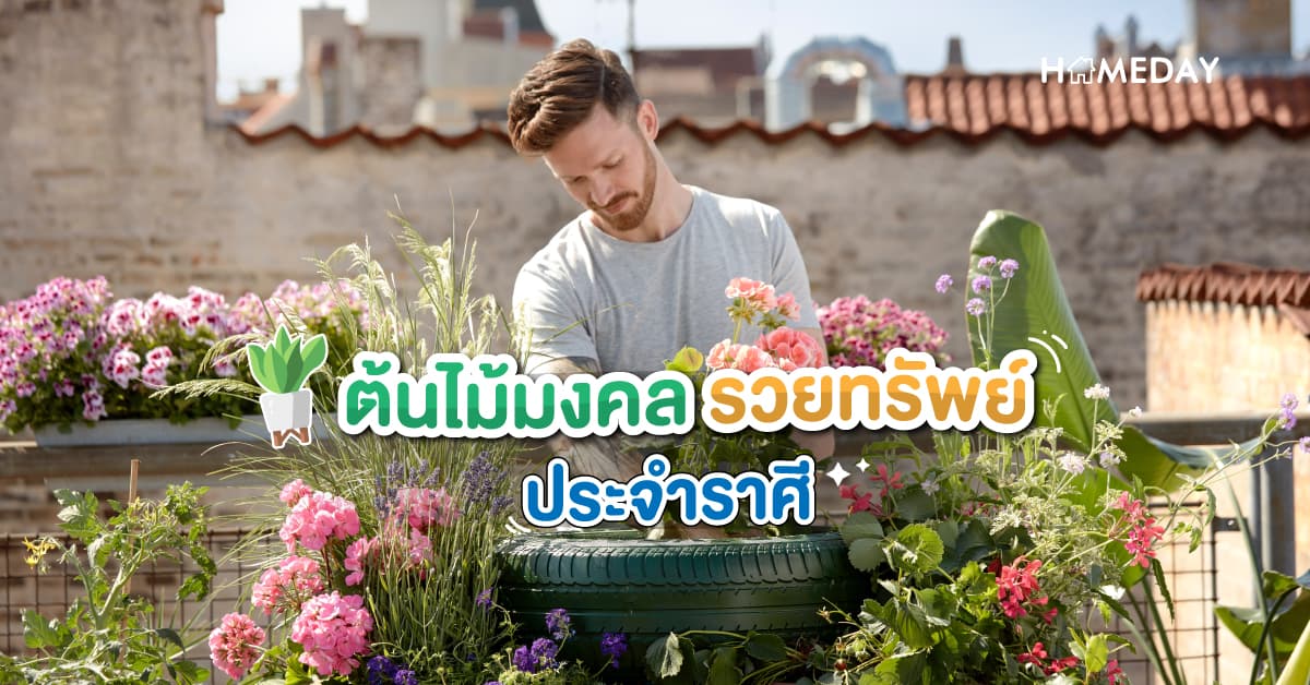 ต้นไม้มงคล รวยทรัพย์ ประจําราศี