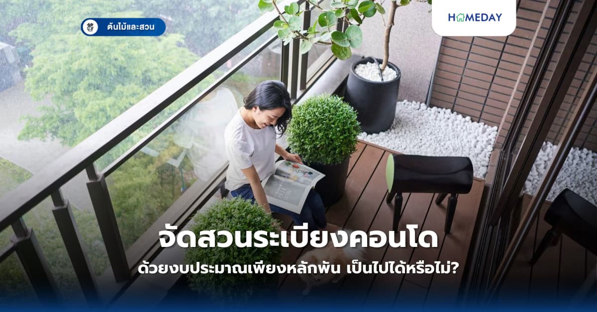 จัดสวนระเบียงคอนโดด้วยงบประมาณเพียงหลักพัน เป็นไปได้หรือไม่?