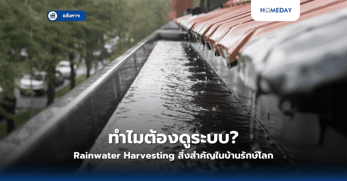 ทำไมต้องดูระบบ Rainwater Harvesting? สิ่งสำคัญในบ้านรักษ์โลก