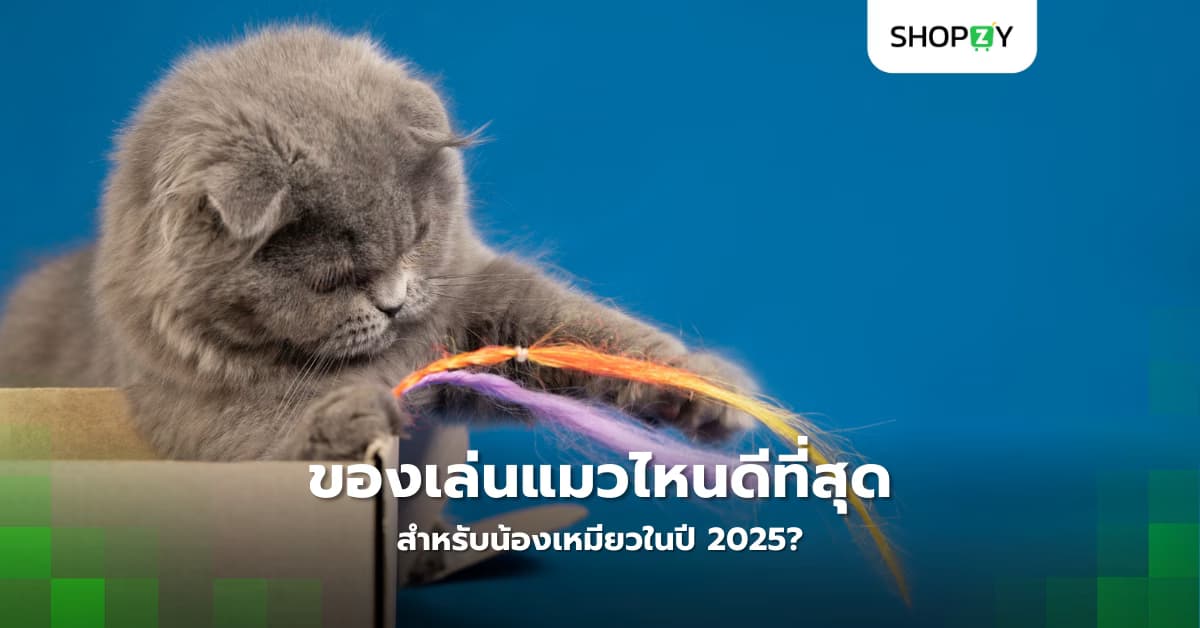 ของเล่นแมวไหนดีที่สุดสำหรับน้องเหมียวในปี 2025?