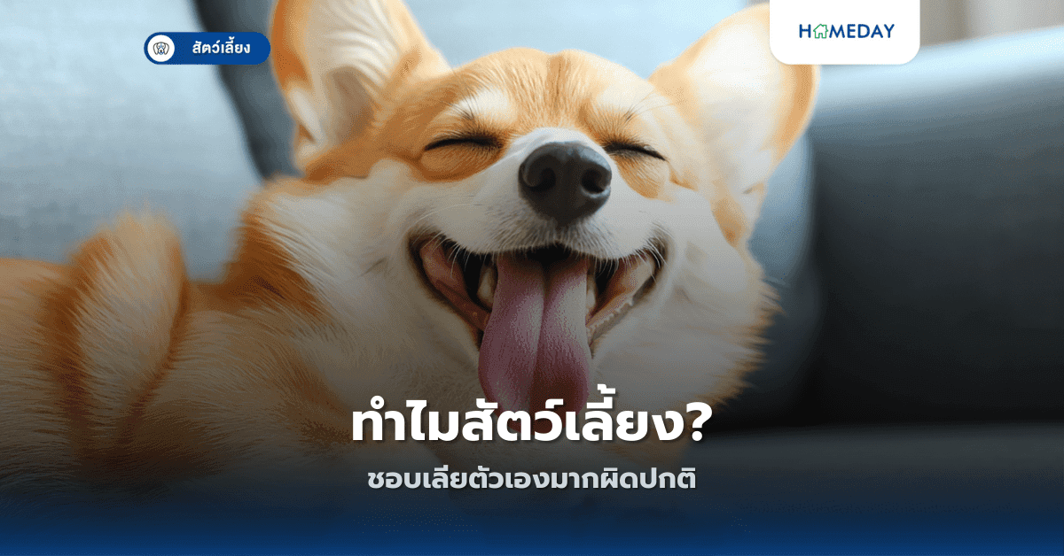 ทำไมสัตว์เลี้ยงชอบเลียตัวเองมากผิดปกติ?