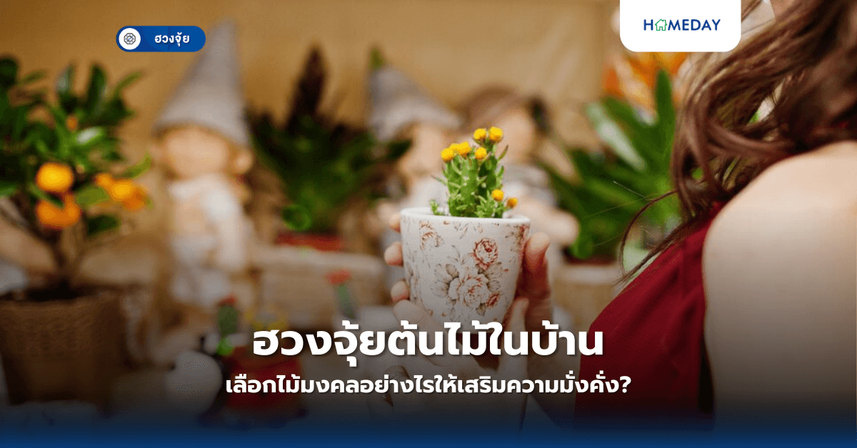 ฮวงจุ้ยต้นไม้ในบ้าน: เลือกไม้มงคลอย่างไรให้เสริมความมั่งคั่ง?