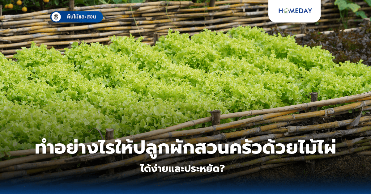 ทำอย่างไรให้ปลูกผักสวนครัวด้วยไม้ไผ่ได้ง่ายและประหยัด?