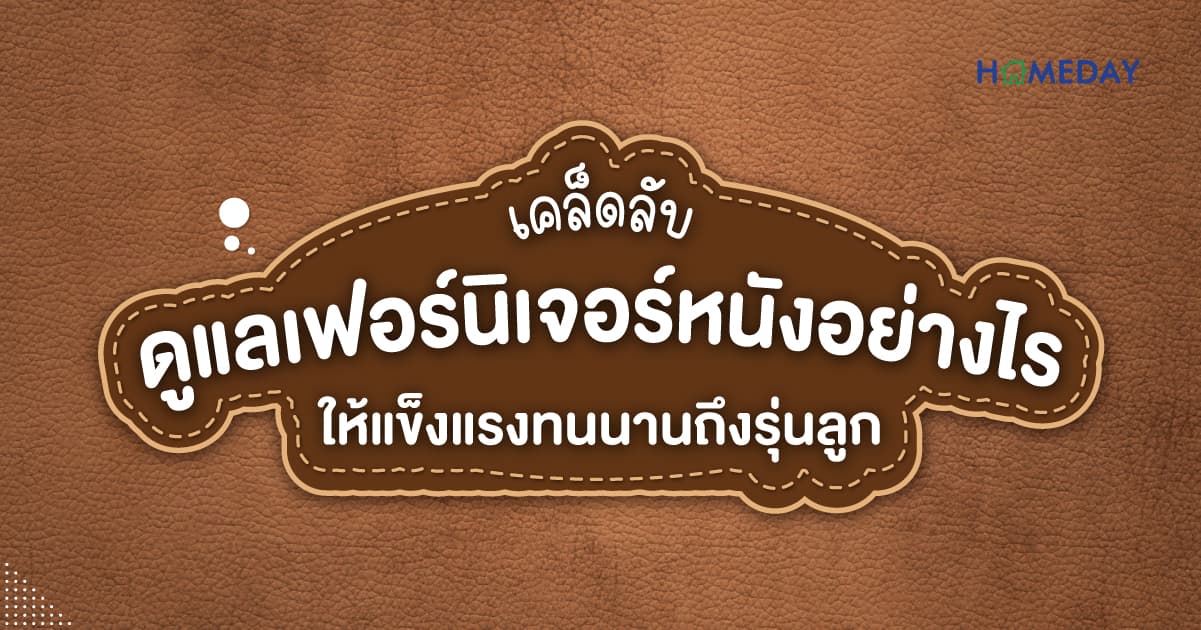 เคล็ดลับดูแลเฟอร์นิเจอร์หนังอย่างไร ให้แข็งแรงทนนานถึงรุ่นลูก