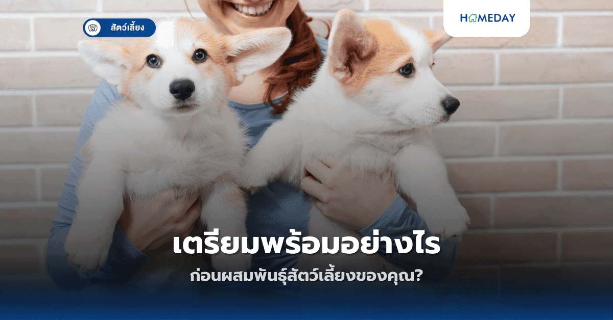 เตรียมพร้อมอย่างไร ก่อนผสมพันธุ์สัตว์เลี้ยงของคุณ?