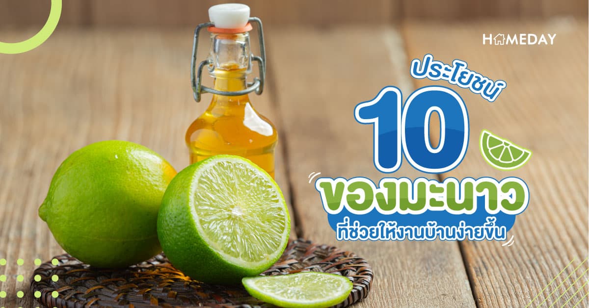 10 ประโยชน์ของมะนาว ที่ช่วยให้งานบ้านง่ายขึ้น