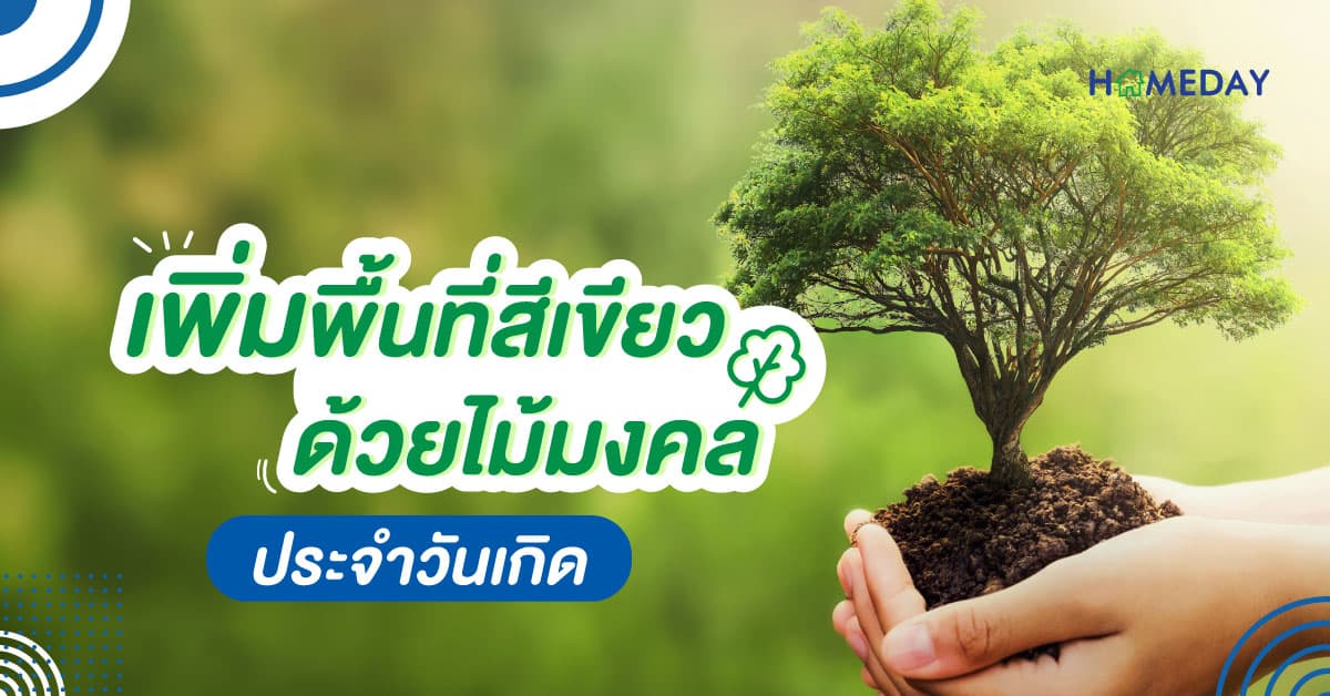 เพิ่มพื้นที่สีเขียว ด้วยไม้มงคลประจำวันเกิด