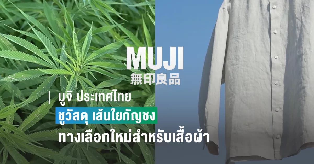 มูจิ ประเทศไทย ต่อยอดแนวคิดความยั่งยืนสู่สินค้าแฟชั่น ชูวัสดุ เส้นใยกัญชง เส้นใยถักทอความยั่งยืน เป็นผ้าทางเลือกใหม่สำหรับเสื้อผ้า MUJI