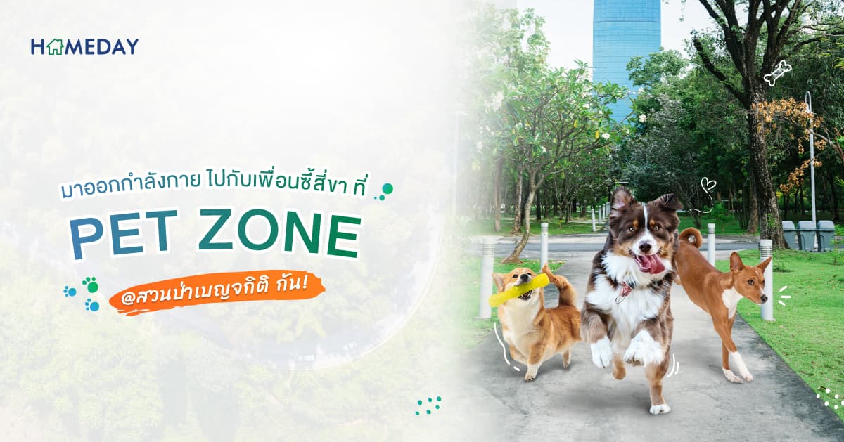 มาออกกำลังกาย ไปกับเพื่อนซี้สี่ขา ที่ PET ZONE @สวนป่าเบญจกิติ กัน!