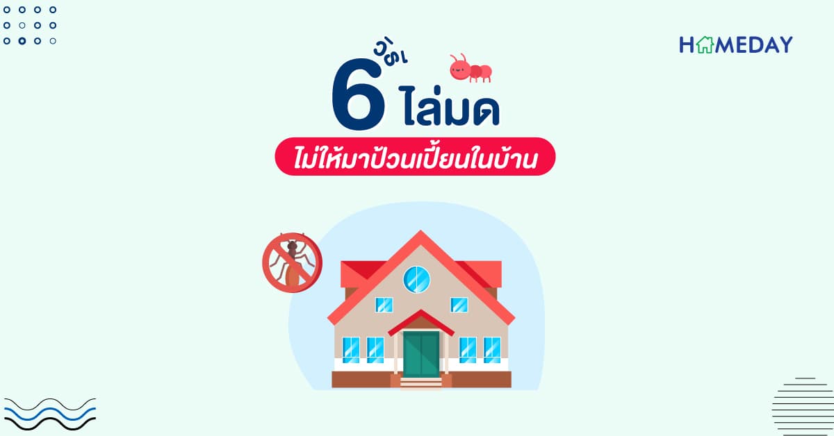 6 วิธีไล่มด ไม่ให้มาป้วนเปี้ยนในบ้าน