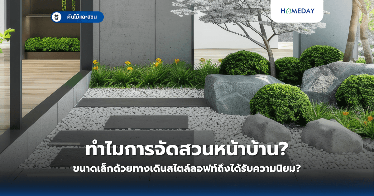 ทำไมการจัดสวนหน้าบ้านขนาดเล็กด้วยทางเดินสไตล์ลอฟท์ถึงได้รับความนิยม?