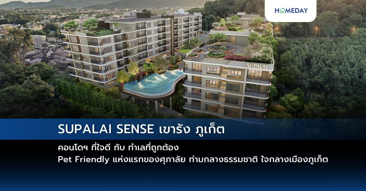 SUPALAI SENSE เขารัง ภูเก็ต คอนโดฯ ที่ใจดี กับ ทำเลที่ถูกต้อง Pet Friendly แห่งแรกของศุภาลัย ท่ามกลางธรรมชาติ ใจกลางเมืองภูเก็ต