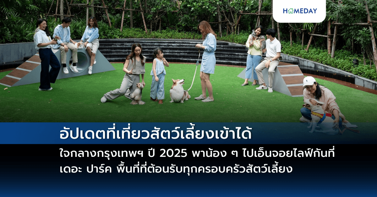 อัปเดตที่เที่ยวสัตว์เลี้ยงเข้าได้ใจกลางกรุงเทพฯ ปี 2025 พาน้อง ๆ ไปเอ็นจอยไลฟ์กันที่ เดอะ ปาร์ค พื้นที่ที่ต้อนรับทุกครอบครัวสัตว์เลี้ยง