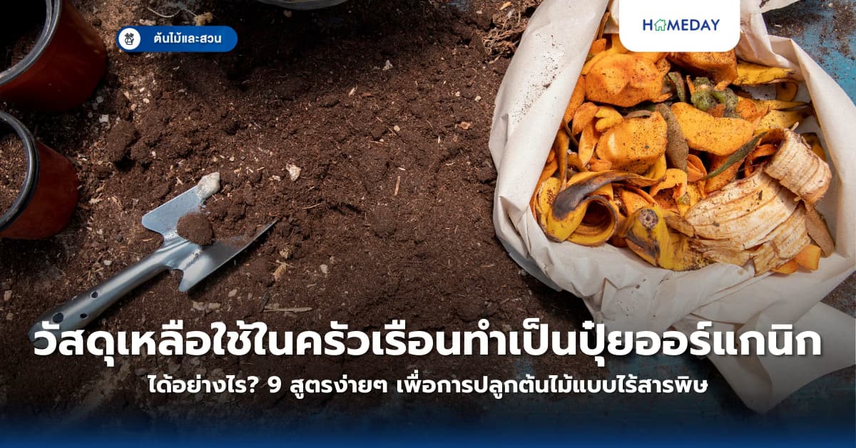 วัสดุเหลือใช้ในครัวเรือนทำเป็นปุ๋ยออร์แกนิกได้อย่างไร? 9 สูตรง่ายๆ เพื่อการปลูกต้นไม้แบบไร้สารพิษ