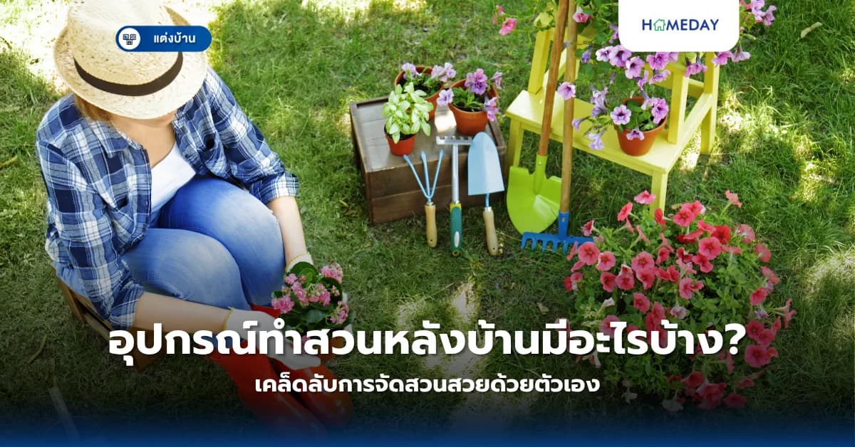 อุปกรณ์ทำสวนหลังบ้านมีอะไรบ้าง? เคล็ดลับการจัดสวนสวยด้วยตัวเอง