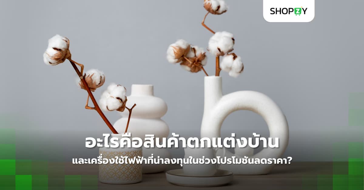 อะไรคือสินค้าตกแต่งบ้านและเครื่องใช้ไฟฟ้าที่น่าลงทุนในช่วงโปรโมชันลดราคา?