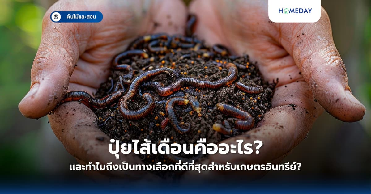 ปุ๋ยไส้เดือนคืออะไร และทำไมถึงเป็นทางเลือกที่ดีที่สุดสำหรับเกษตรอินทรีย์?