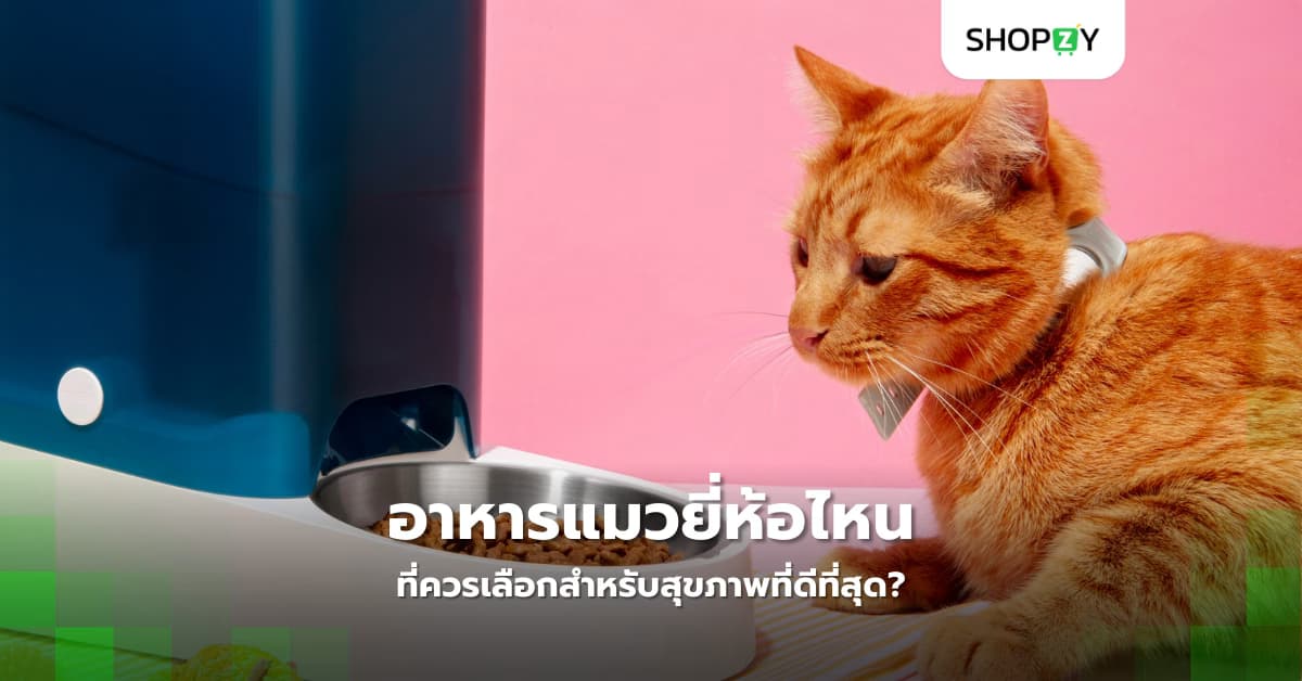 ยี่ห้อไหนของอาหารแมวที่ควรเลือกสำหรับสุขภาพที่ดีที่สุด?