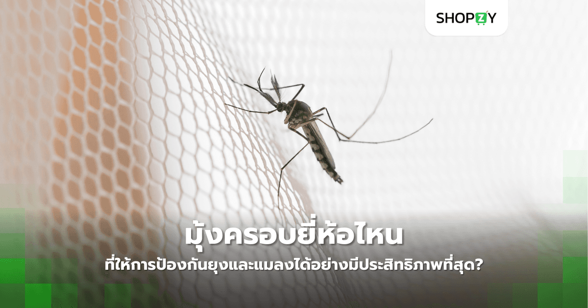 มุ้งครอบยี่ห้อไหนที่ให้การป้องกันยุงและแมลงได้อย่างมีประสิทธิภาพที่สุด?