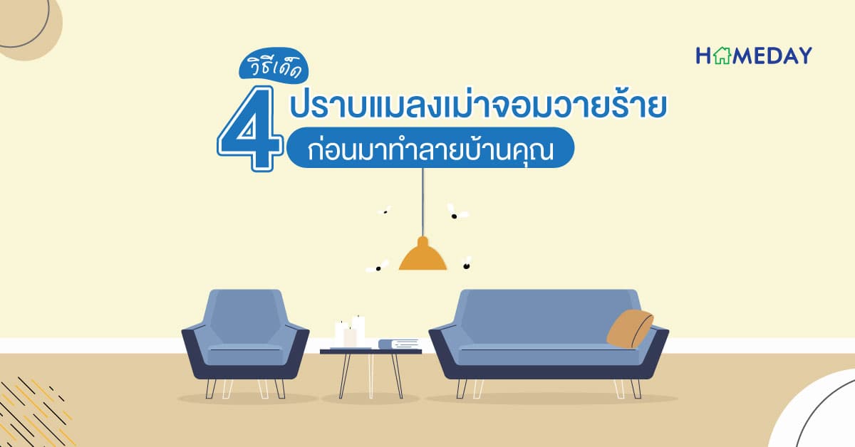 4 วิธีเด็ด ปราบแมลงเม่าจอมวายร้าย ก่อนมาทำลายบ้านคุณ