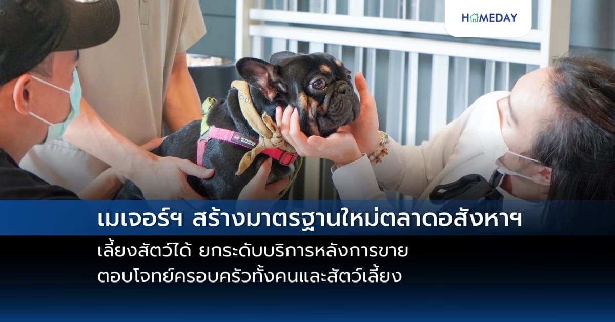 เมเจอร์ฯ สร้างมาตรฐานใหม่ตลาดอสังหาฯ เลี้ยงสัตว์ได้ ยกระดับบริการหลังการขาย ตอบโจทย์ครอบครัวทั้งคนและสัตว์เลี้ยง