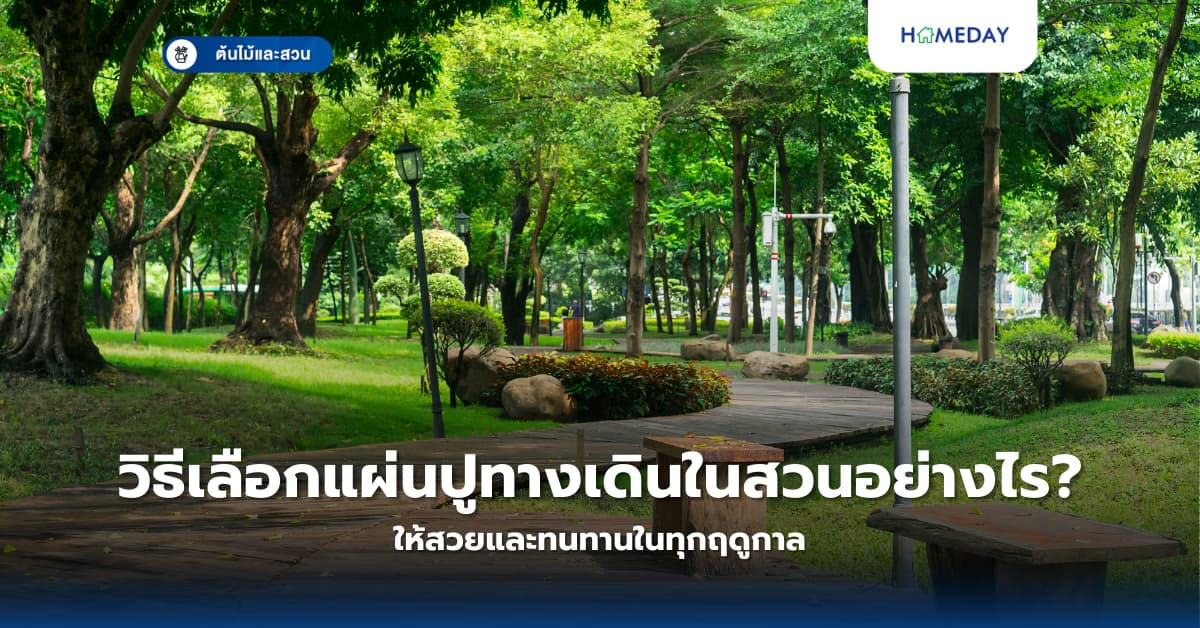 วิธีเลือกแผ่นปูทางเดินในสวนอย่างไรให้สวยและทนทานในทุกฤดูกาล?