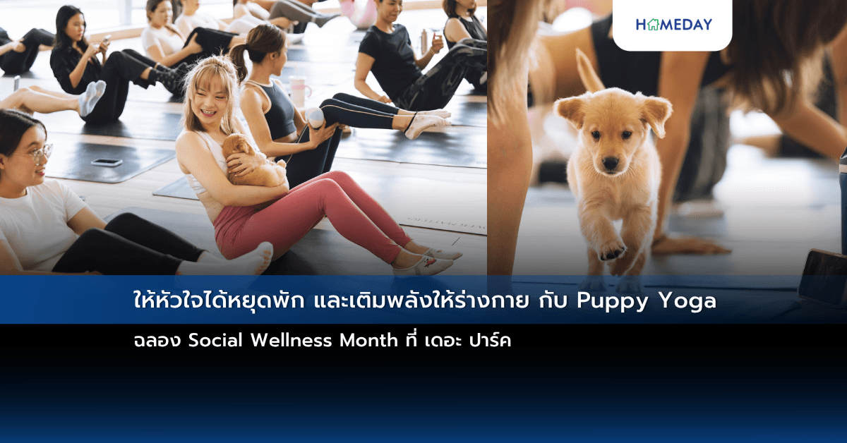 ให้หัวใจได้หยุดพัก และเติมพลังให้ร่างกาย กับ Puppy Yoga ฉลอง Social Wellness Month ที่ เดอะ ปาร์ค