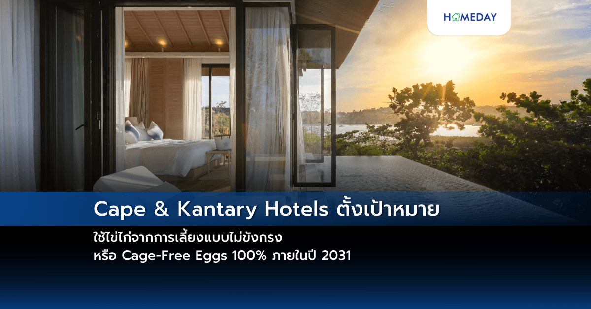 Cape & Kantary Hotels ตั้งเป้าหมาย ใช้ไข่ไก่จากการเลี้ยงแบบไม่ขังกรง หรือ Cage-Free Eggs 100% ภายในปี 2031